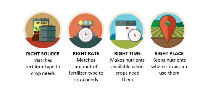 Image showing the 4 R's of nutrient management: Right source matching fertilizer type to crop needs, Right rate matching amount of fertilizer type to crop needs, Right time making nutrients available when crop need them, Right place keeps nutrients where crops can use them
