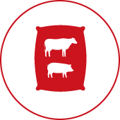 Feed bag icon with outline of pig and cattle on the bag Feed bag icon with outline of pig and cattle on the bag