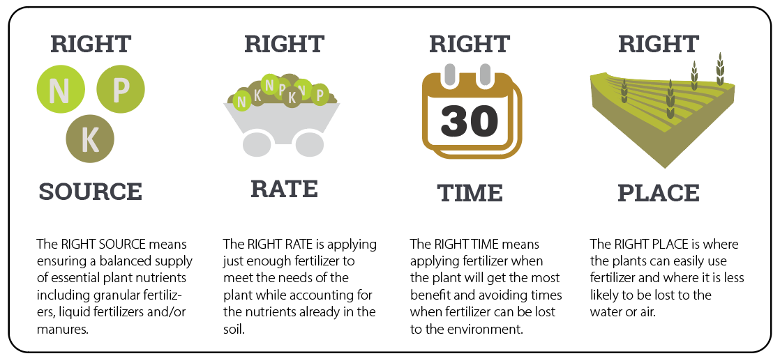 Right Source, Right Rate, Right Time, Right Place